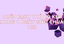 Nuôi Bạch Thủ Lô Kép Khung 1 Ngày Siêu Chuẩn 100%: Bí Kíp Đánh Nhanh Thắng Gọn