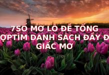 Sổ Mơ Lô Đề Tổng Hợp A-Z: Giải Mã Giấc Mơ Tìm Vận May Chính Xác Nhất